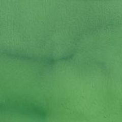 P1520 Avocado